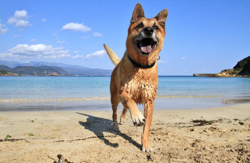 f:id:mamimami_LA:20161209114231j:plain f:id:mamimami_LA:20161209114231j:plain