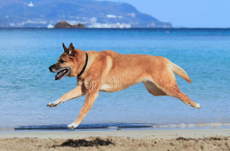 f:id:mamimami_LA:20161209114951j:plain f:id:mamimami_LA:20161209114951j:plain