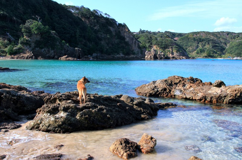 f:id:mamimami_LA:20161209121140j:plain f:id:mamimami_LA:20161209121140j:plain