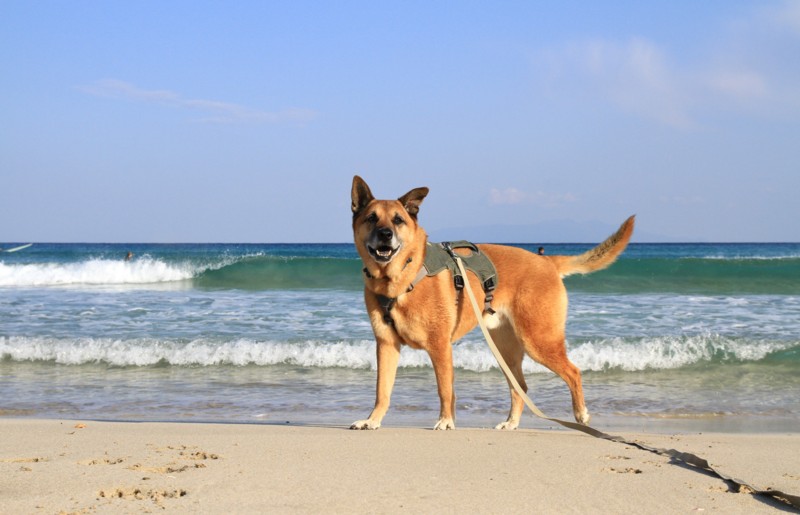 f:id:mamimami_LA:20161209135001j:plain f:id:mamimami_LA:20161209135001j:plain