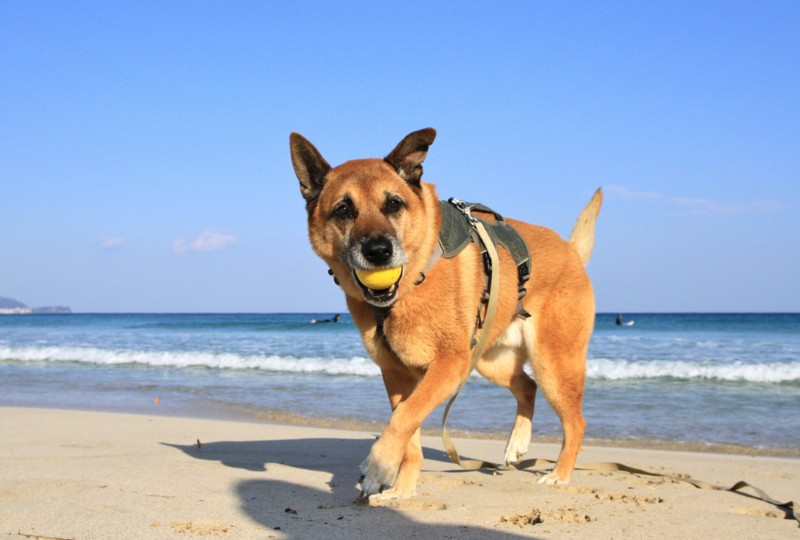 f:id:mamimami_LA:20161209135018j:plain f:id:mamimami_LA:20161209135018j:plain