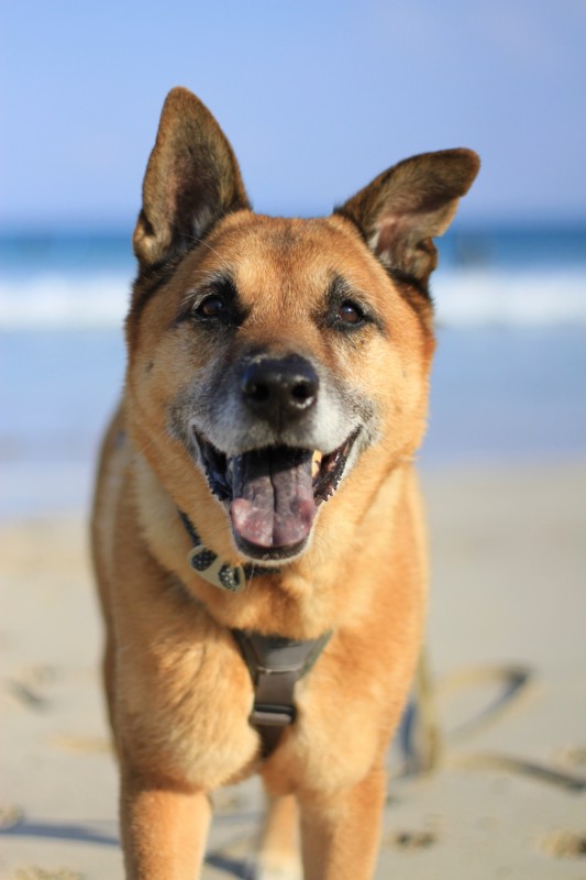 f:id:mamimami_LA:20161209135824j:plain f:id:mamimami_LA:20161209135824j:plain