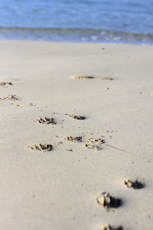 f:id:mamimami_LA:20161209141146j:plain f:id:mamimami_LA:20161209141146j:plain