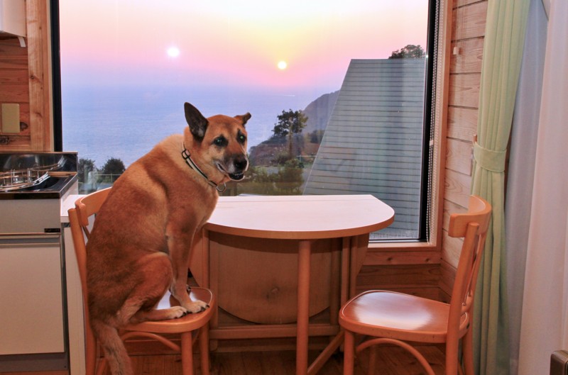 f:id:mamimami_LA:20161209162642j:plain f:id:mamimami_LA:20161209162642j:plain