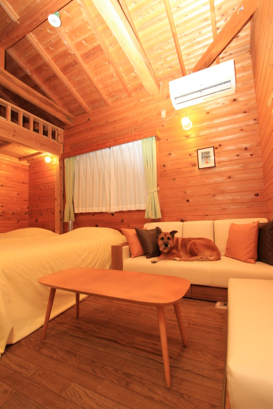 f:id:mamimami_LA:20161209170504j:plain f:id:mamimami_LA:20161209170504j:plain