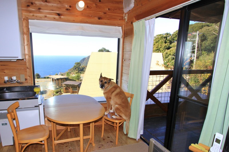 f:id:mamimami_LA:20161210092210j:plain f:id:mamimami_LA:20161210092210j:plain