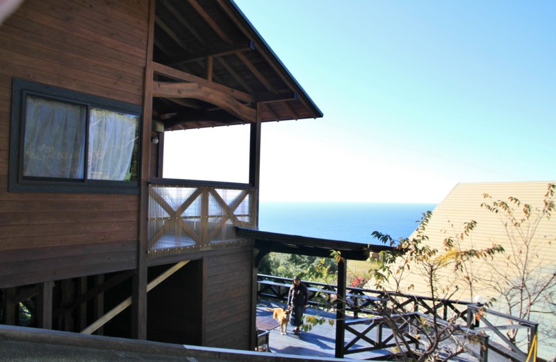 f:id:mamimami_LA:20161210093942j:plain f:id:mamimami_LA:20161210093942j:plain