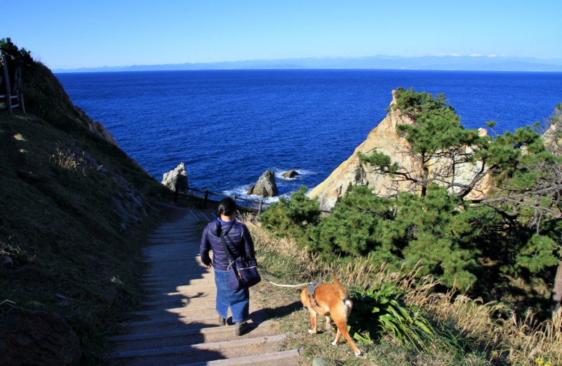 f:id:mamimami_LA:20161210105331j:plain f:id:mamimami_LA:20161210105331j:plain