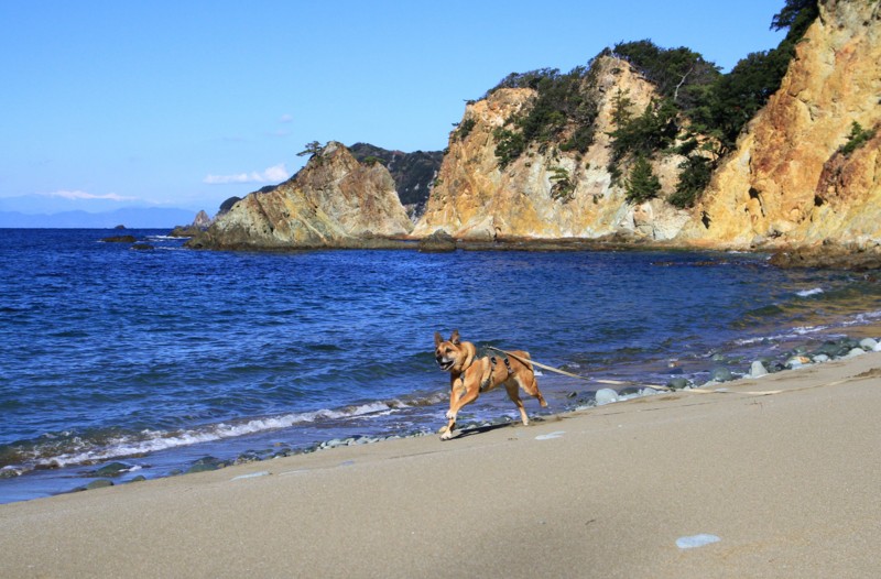 f:id:mamimami_LA:20161210112114j:plain f:id:mamimami_LA:20161210112114j:plain