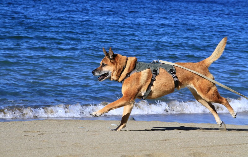 f:id:mamimami_LA:20161210112150j:plain f:id:mamimami_LA:20161210112150j:plain