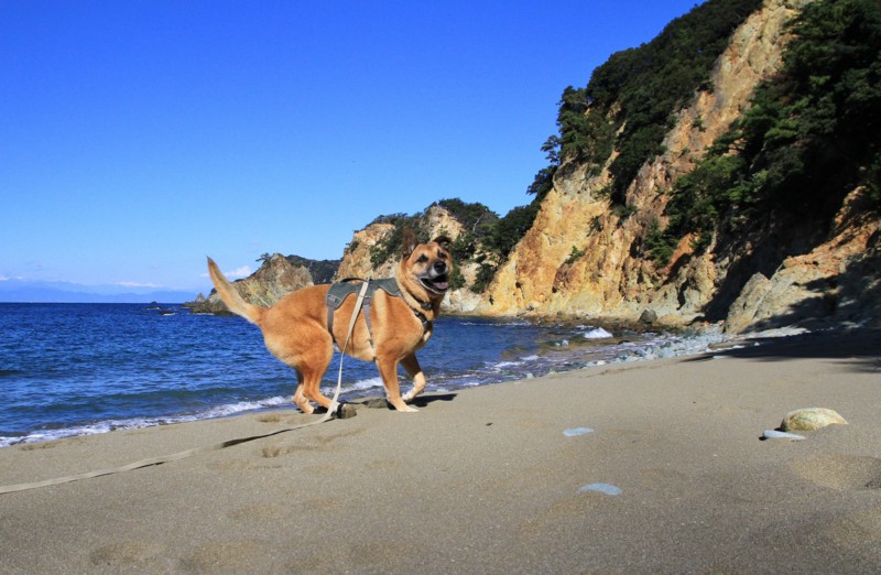 f:id:mamimami_LA:20161210112316j:plain f:id:mamimami_LA:20161210112316j:plain