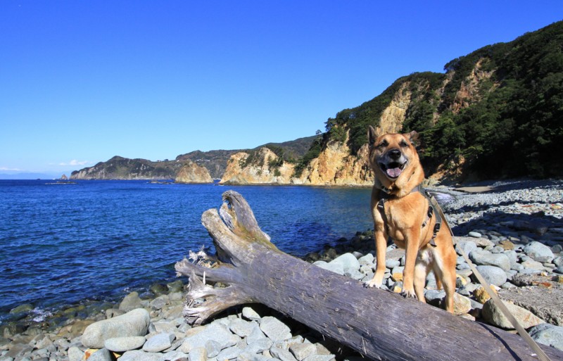 f:id:mamimami_LA:20161210113153j:plain f:id:mamimami_LA:20161210113153j:plain