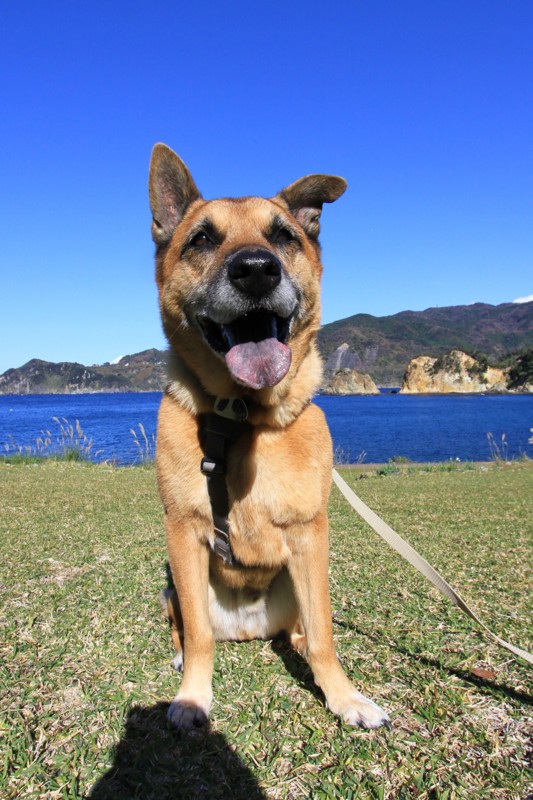 f:id:mamimami_LA:20161210114328j:plain f:id:mamimami_LA:20161210114328j:plain