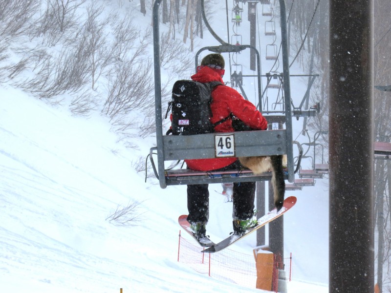 f:id:mamimami_LA:20170119102559j:plain f:id:mamimami_LA:20170119102559j:plain