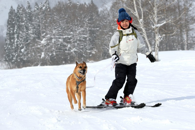 f:id:mamimami_LA:20170119121624j:plain f:id:mamimami_LA:20170119121624j:plain