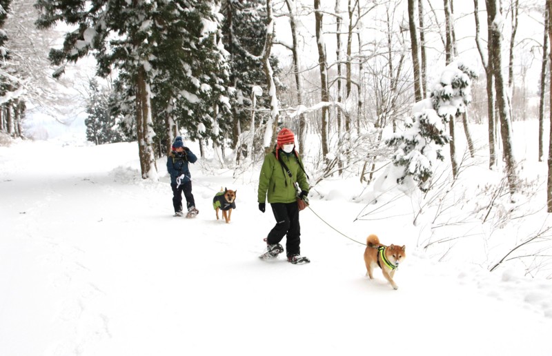 f:id:mamimami_LA:20170120143504j:plain f:id:mamimami_LA:20170120143504j:plain