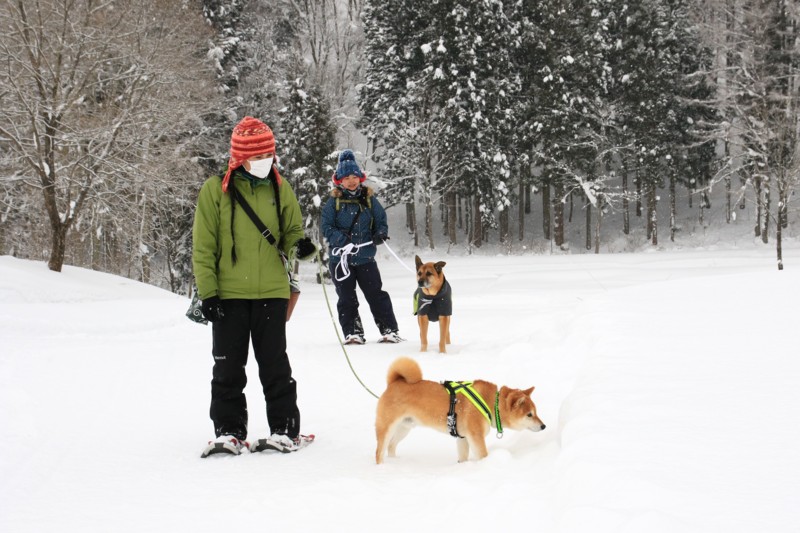 f:id:mamimami_LA:20170120144824j:plain f:id:mamimami_LA:20170120144824j:plain