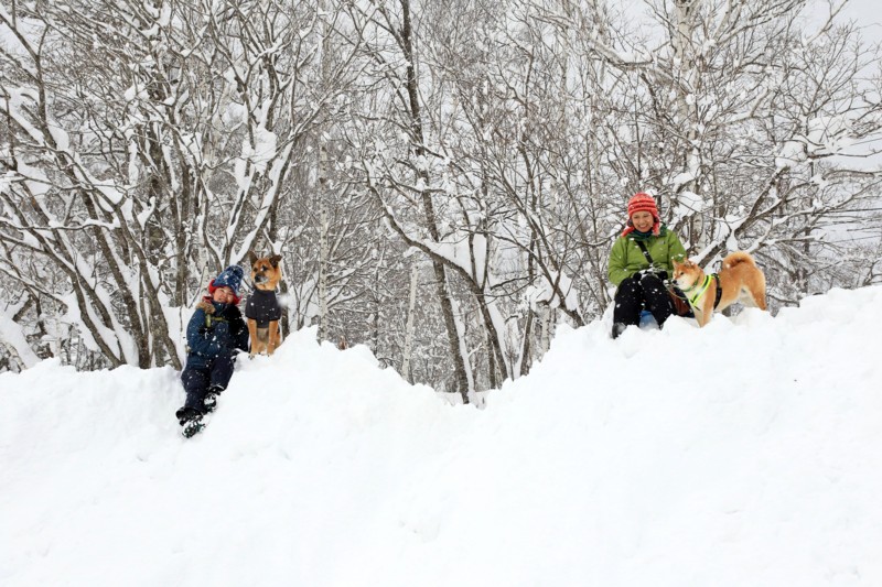 f:id:mamimami_LA:20170122111957j:plain f:id:mamimami_LA:20170122111957j:plain