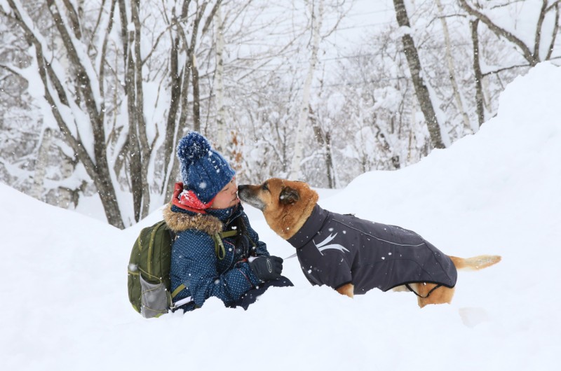 f:id:mamimami_LA:20170122112554j:plain f:id:mamimami_LA:20170122112554j:plain