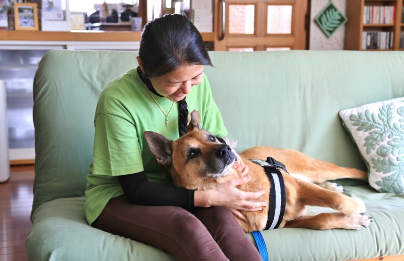 f:id:mamimami_LA:20170225113040j:plain