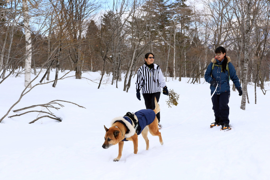 f:id:mamimami_LA:20170226112820j:plain