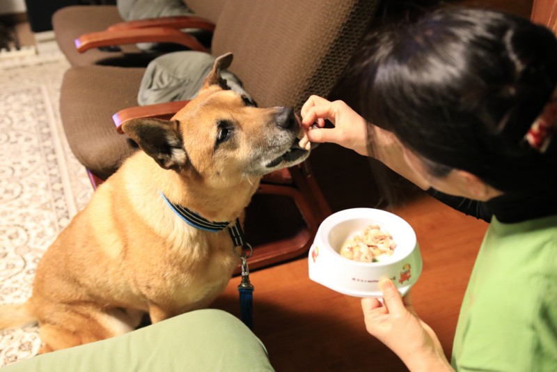 f:id:mamimami_LA:20170226192821j:plain