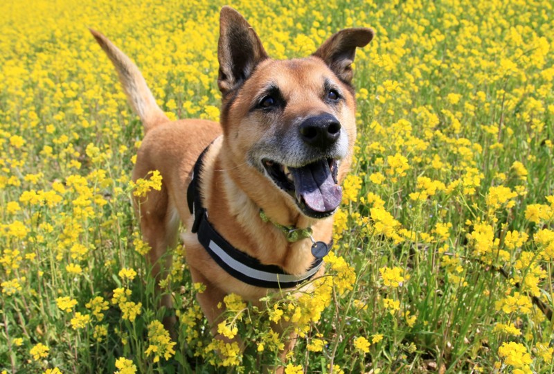 f:id:mamimami_LA:20170318110224j:plain