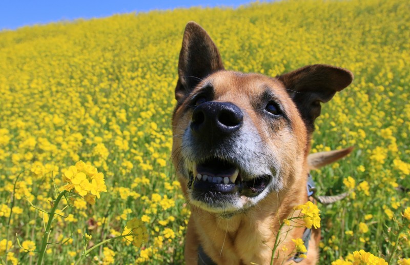 f:id:mamimami_LA:20170322112550j:plain