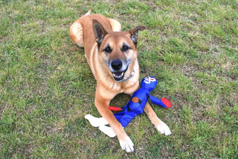 f:id:mamimami_LA:20170425101054j:plain