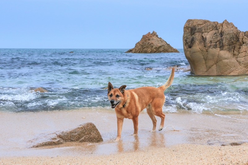 f:id:mamimami_LA:20170501091330j:plain