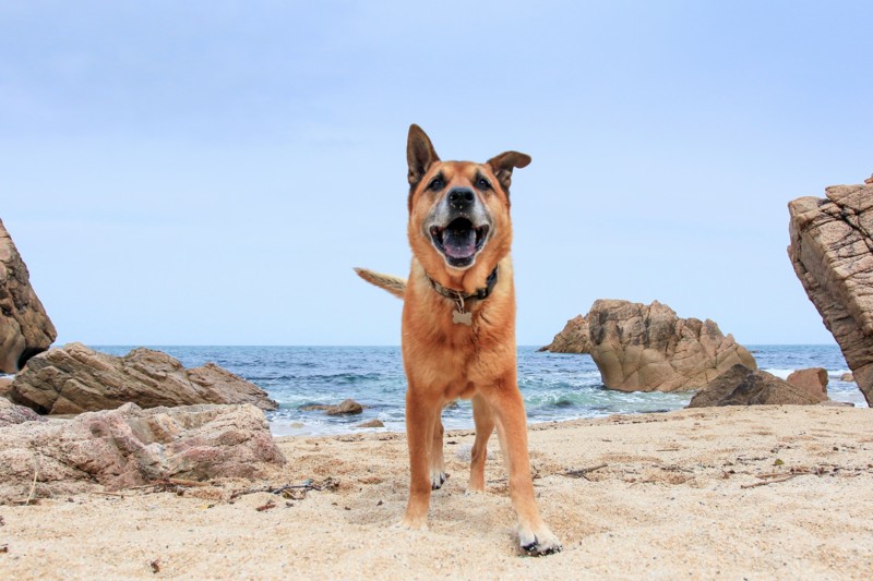 f:id:mamimami_LA:20170501091919j:plain