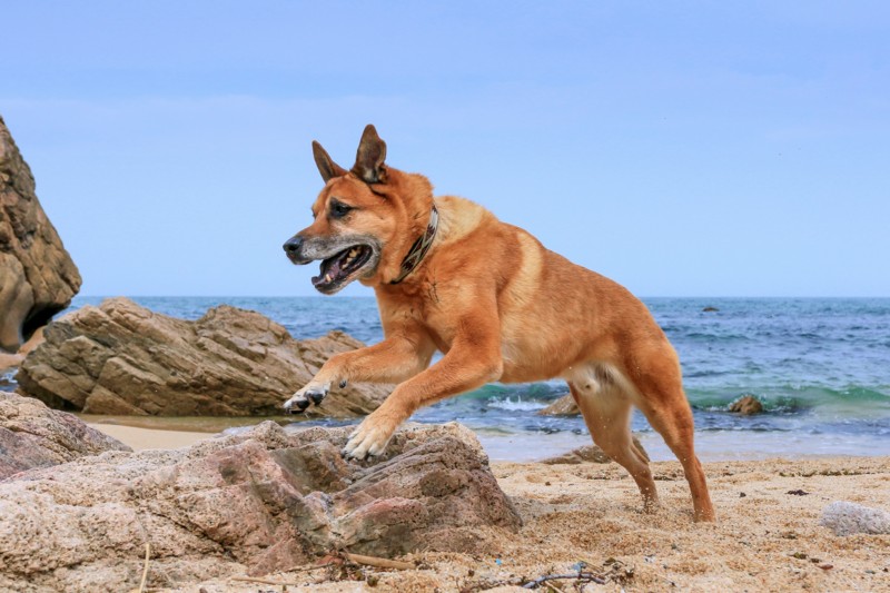 f:id:mamimami_LA:20170501092034j:plain