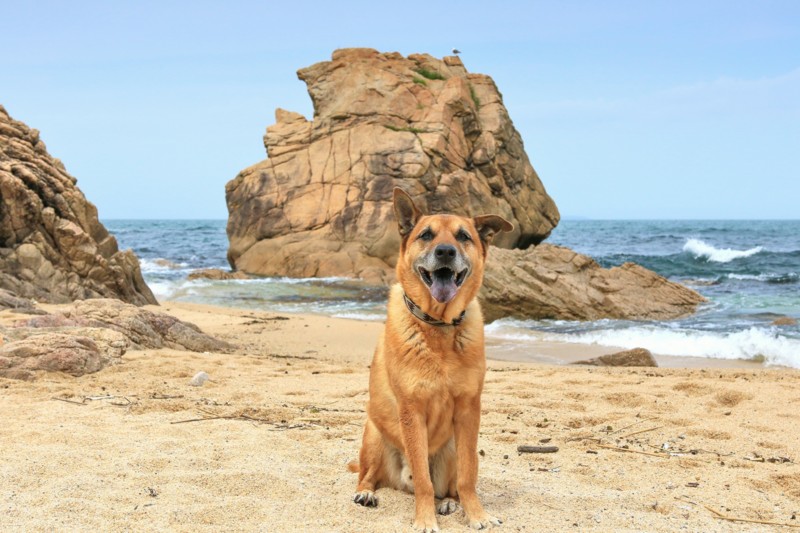 f:id:mamimami_LA:20170501092522j:plain