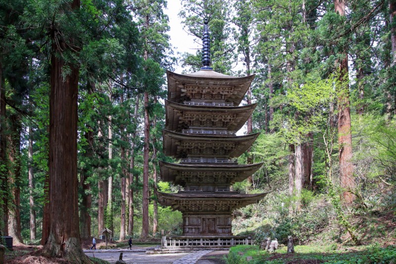 f:id:mamimami_LA:20170501131027j:plain