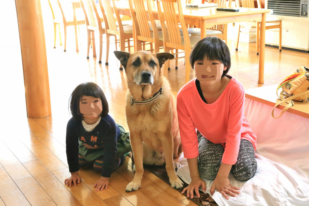 f:id:mamimami_LA:20170503085757j:plain