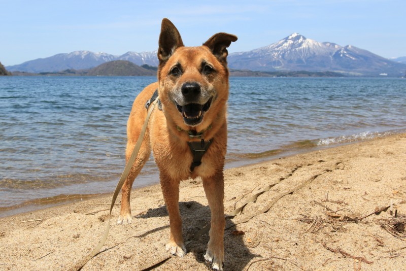 f:id:mamimami_LA:20170503121339j:plain