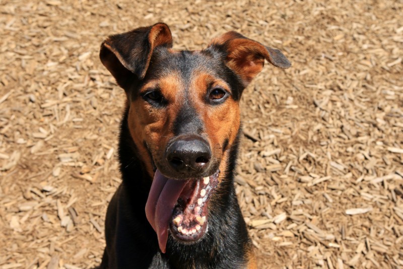 f:id:mamimami_LA:20170519100321j:plain