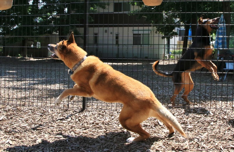 f:id:mamimami_LA:20170602093516j:plain