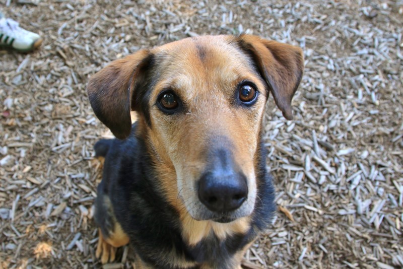 f:id:mamimami_LA:20170602093802j:plain