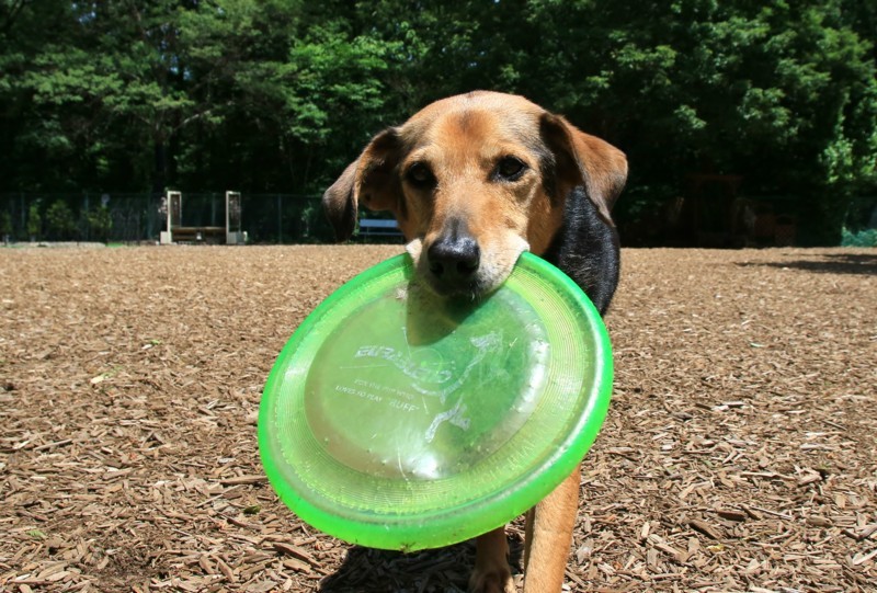 f:id:mamimami_LA:20170602102521j:plain