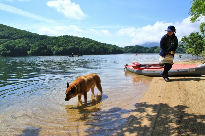 f:id:mamimami_LA:20170804100120j:plain f:id:mamimami_LA:20170804100120j:plain