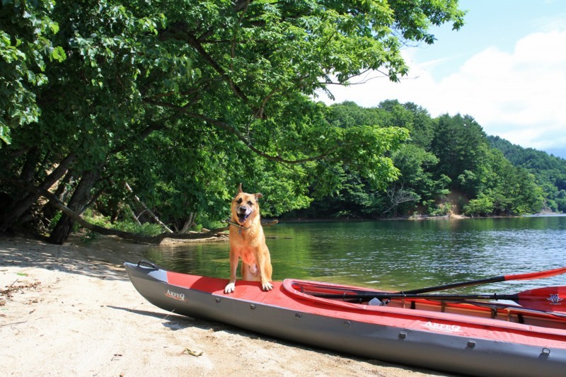 f:id:mamimami_LA:20170804100250j:plain f:id:mamimami_LA:20170804100250j:plain