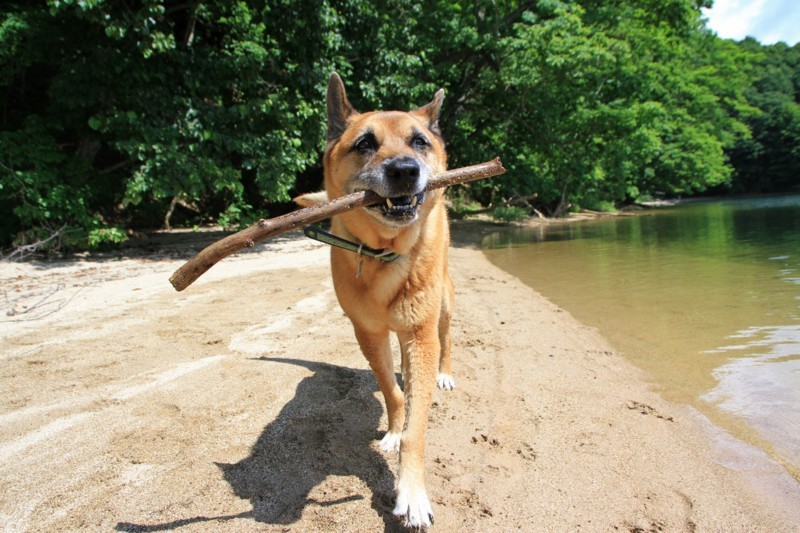 f:id:mamimami_LA:20170804100931j:plain f:id:mamimami_LA:20170804100931j:plain