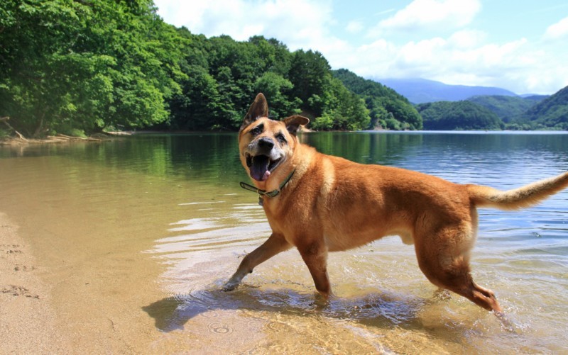 f:id:mamimami_LA:20170804101129j:plain f:id:mamimami_LA:20170804101129j:plain