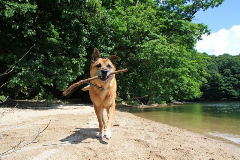 f:id:mamimami_LA:20170804101558j:plain f:id:mamimami_LA:20170804101558j:plain