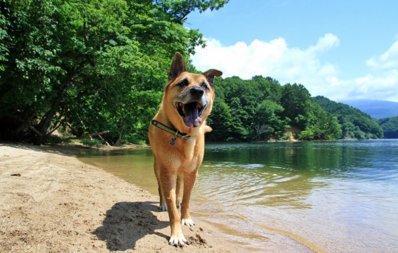 f:id:mamimami_LA:20170804101623j:plain f:id:mamimami_LA:20170804101623j:plain