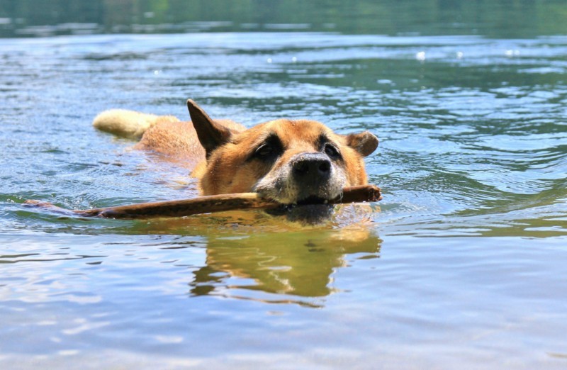 f:id:mamimami_LA:20170804102500j:plain f:id:mamimami_LA:20170804102500j:plain