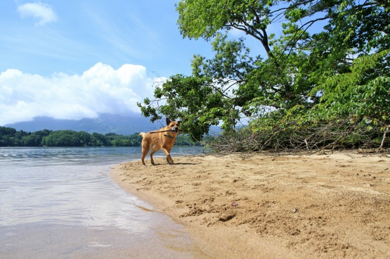 f:id:mamimami_LA:20170804102523j:plain f:id:mamimami_LA:20170804102523j:plain