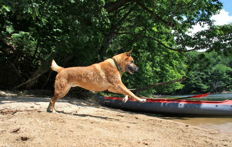 f:id:mamimami_LA:20170804103713j:plain f:id:mamimami_LA:20170804103713j:plain