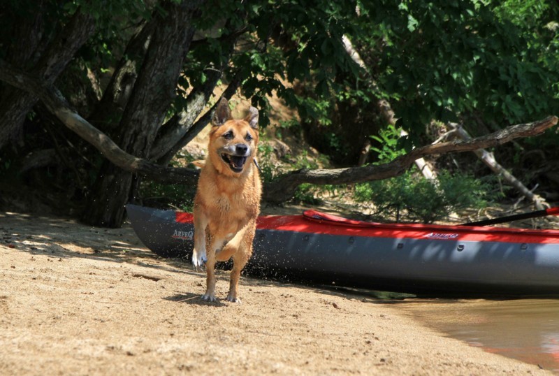 f:id:mamimami_LA:20170804103836j:plain f:id:mamimami_LA:20170804103836j:plain